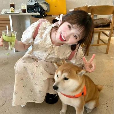 这里禁止恋爱